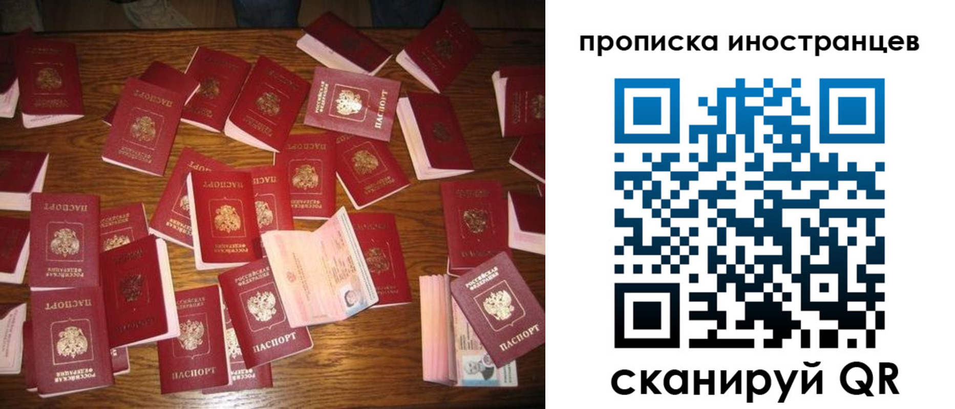 найти адрес прописки в Бабаево